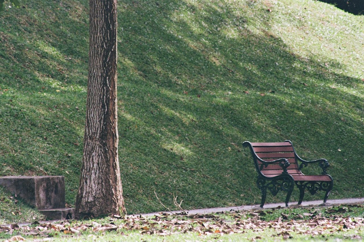 Some Photographs Shot on Film