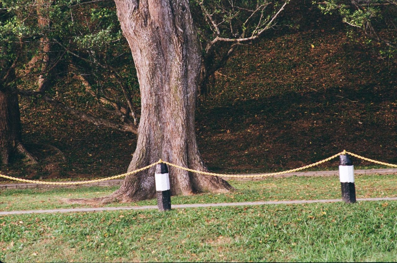 Some Photographs Shot on Film