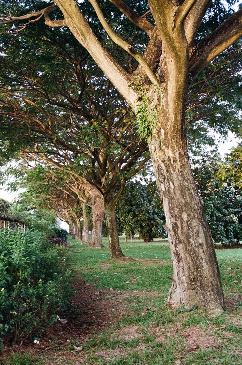 Some Photographs Shot on Film