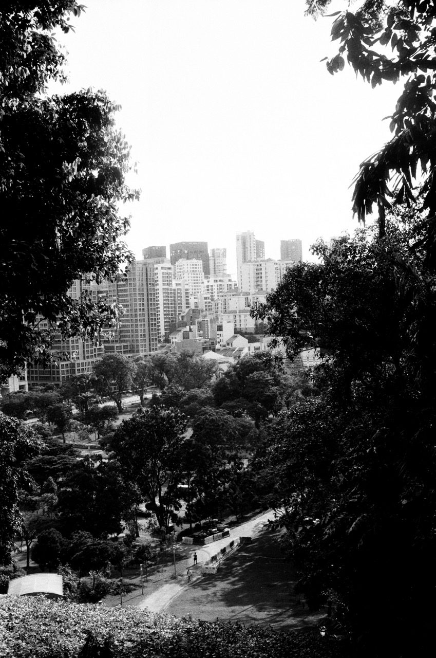 一组黑白/20250715