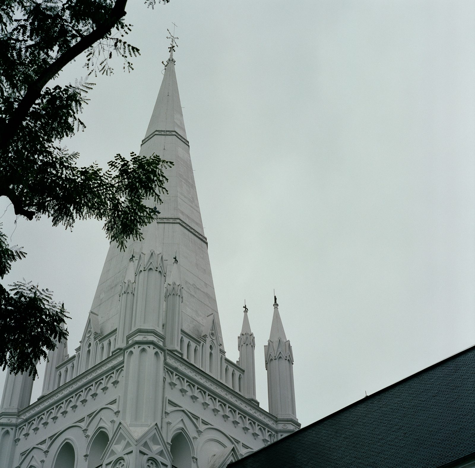 Some pictures I took today