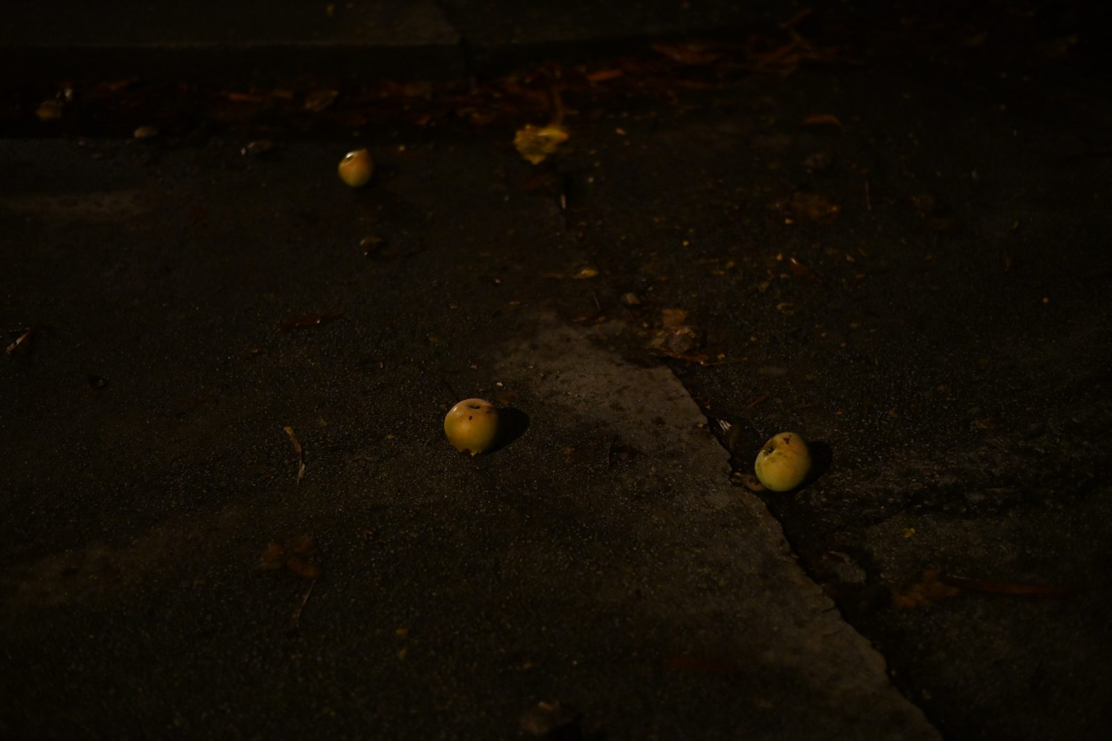 Street Photography on a Rainy Night