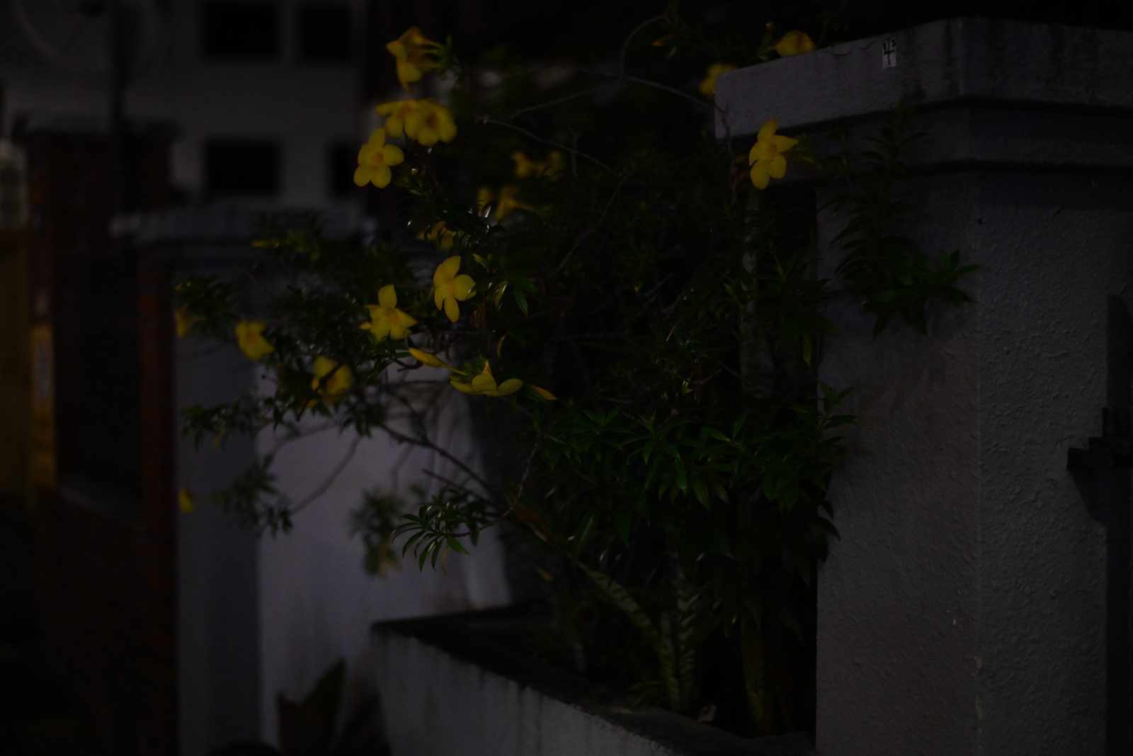 Night Street Photography in Geylang and Balestier