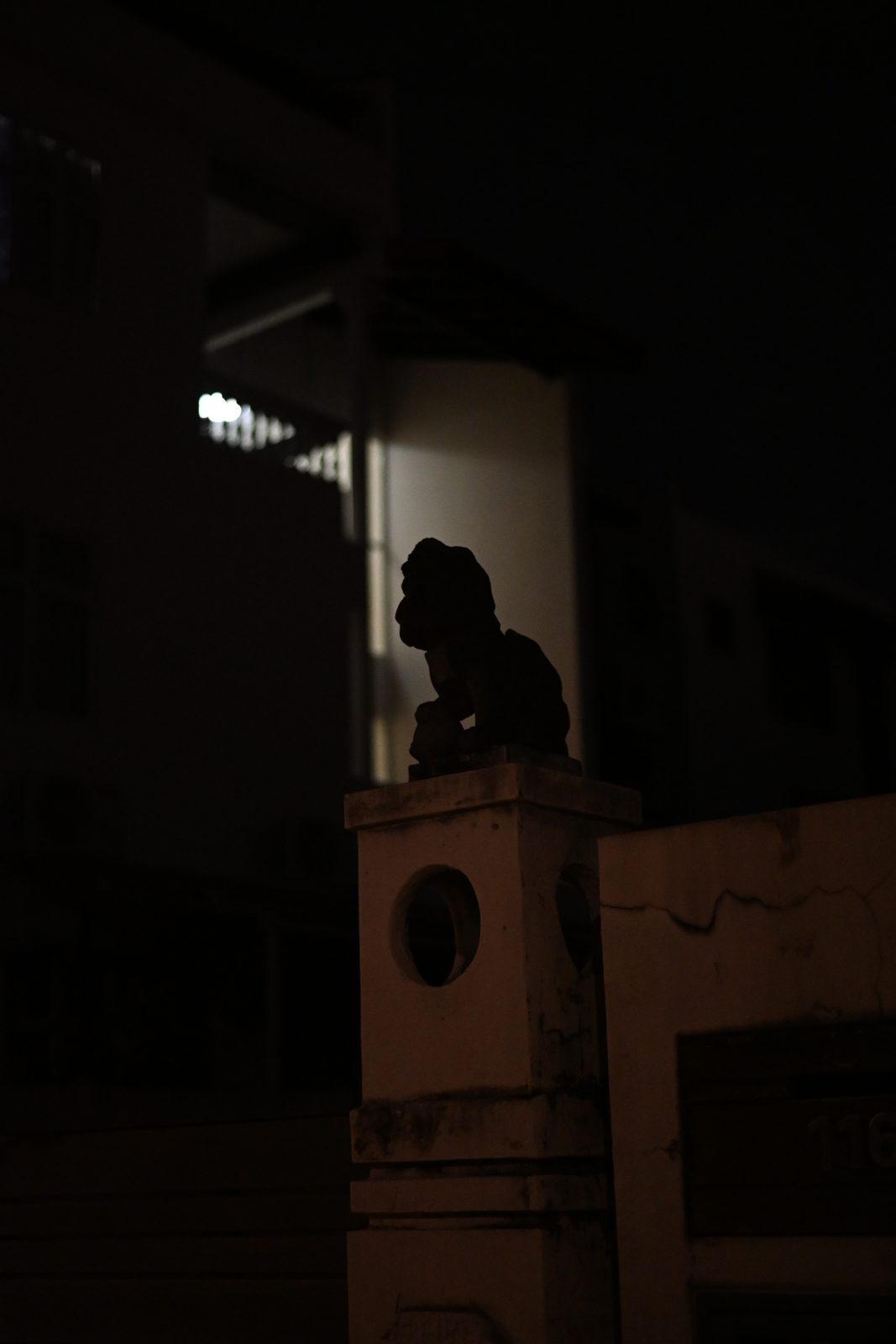 Night Street Photography in Geylang and Balestier
