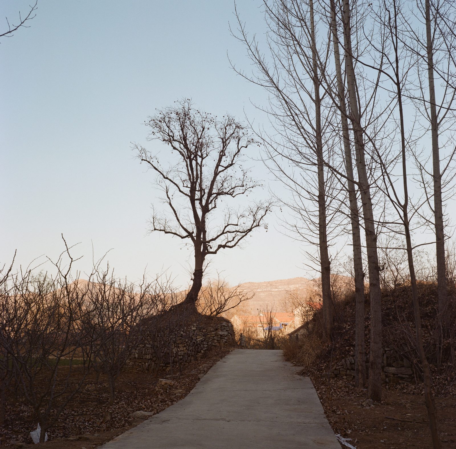 故乡的原风景