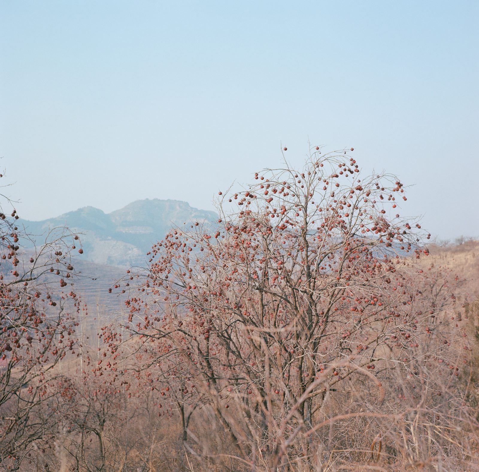 故乡的原风景