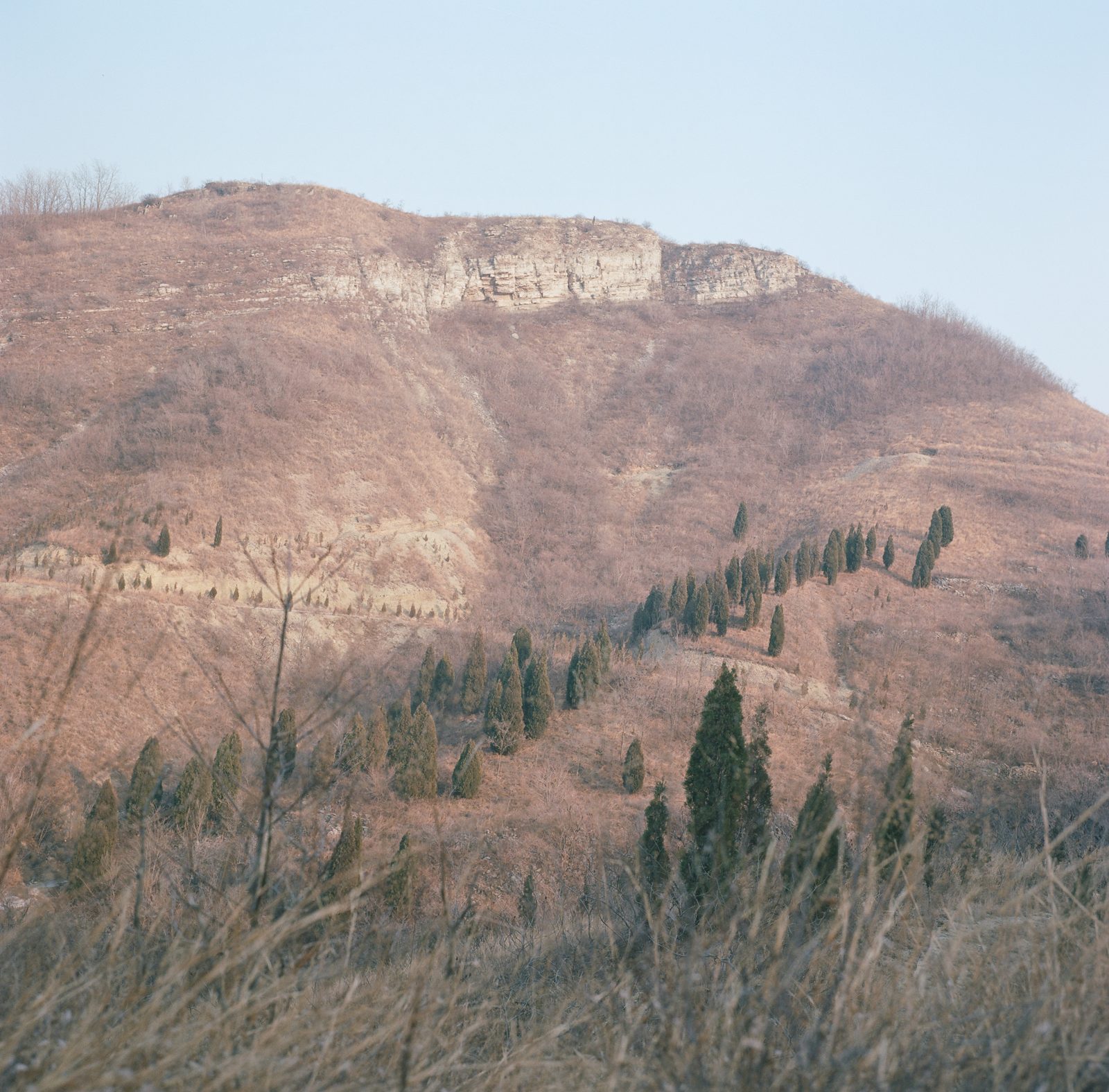 故乡的原风景
