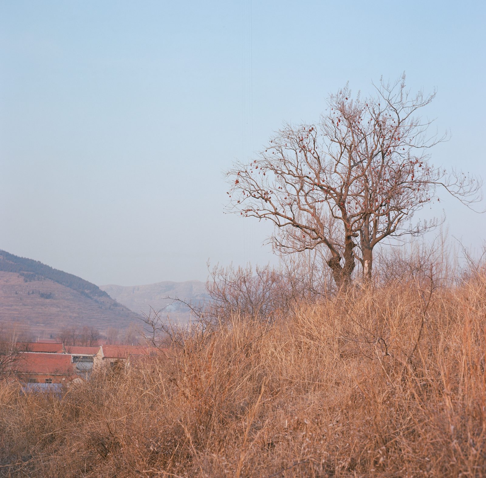 故乡的原风景